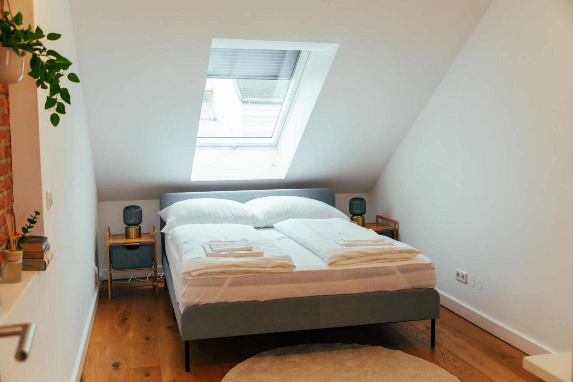 Large - Great For Groups - With Balcony Or Terrace * Vienna